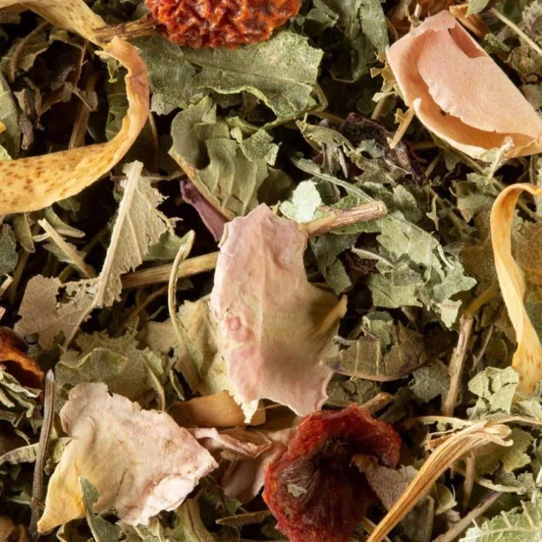 Tisane Nuit à Versailles 25 sachets